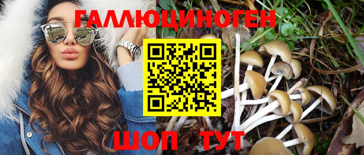 Керчь  как найти закладки  Вход с VPN  Псилоцибиновые грибы Psilocybine cubensis 
