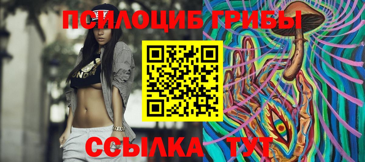 Галлюциногенные грибы Psilocybine cubensis Керчь